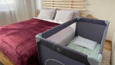 Anastasia's House - Photo 4