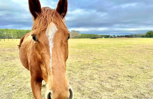 Couples Cottage - Serene Getaway - Foto 5