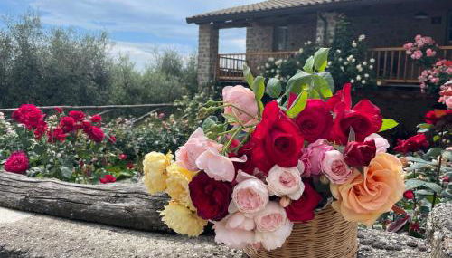 Tuscan Country House - Capanna dei muli - Foto 4, Garden view