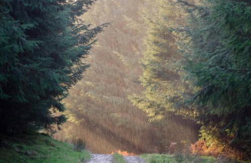 Stables House - Foto 36