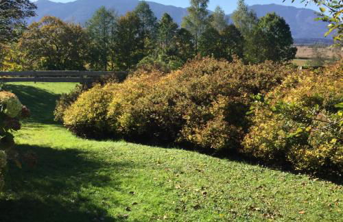 Ferienwohnung Christensen - Foto 13