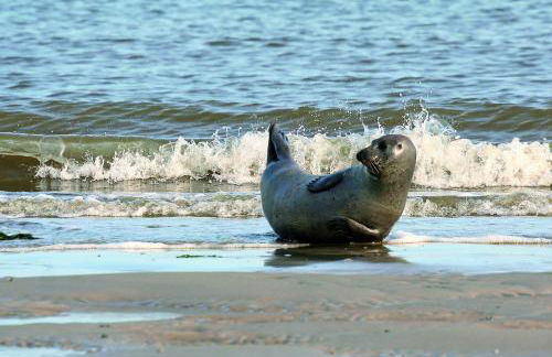Gud Jard Lodge Nr 30 - Design-Ferienhaus mit exklusiver Ausstattung - Foto 34