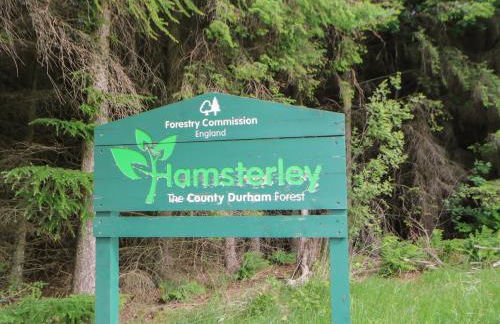 3 Mill Wynd - Foto 32