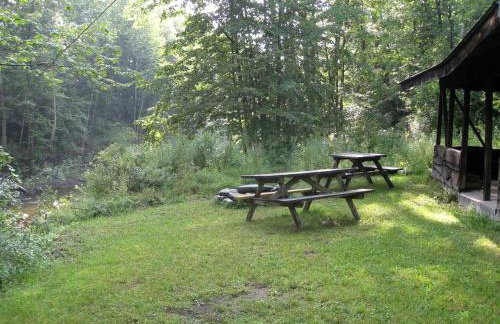 Rustic Couples' Cabin for Idyllic Catskills Getaway, Upstate New York - Foto 13