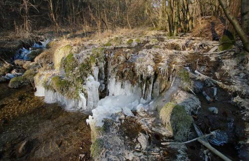 FeWo Die Dittrichs - Photo 19