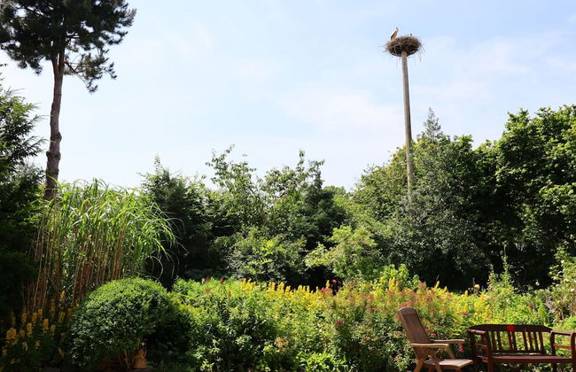 Ferienwohnung Im Heumond in Buschhagen - Photo 30