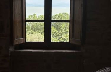 L'oasi delle volpi - Foto 5