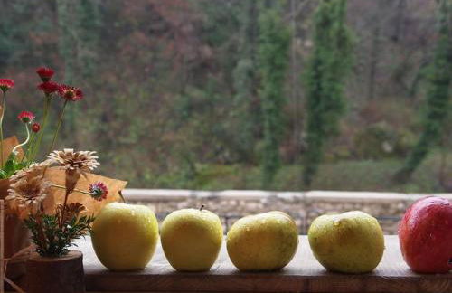 Agritur Agrihouse - Foto 38