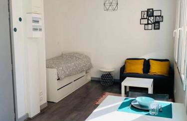 Saint Etienne : Studio hyper centre - Foto 3