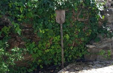 Monte Papa Figos - Foto 22