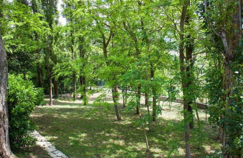 Villa Olivo secolare by Interhome - Foto 40