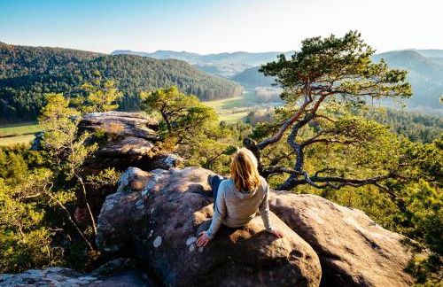 Ferienwohnung Weitblick im Dahner Felsenland - Foto 40