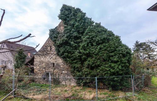 Sonnige Wohnung im Markgräflerland - Foto 26