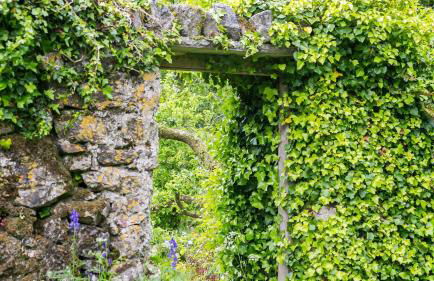 Ty Fry Cottage - Foto 43