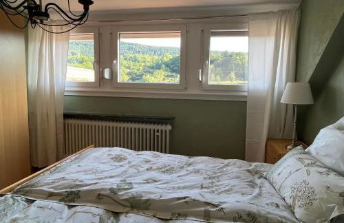 Ferienhaus Schönbachhof - Foto 16