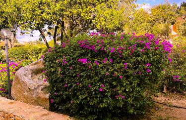 Porto Rotondo centro - splendido appartamento con terrazza - Foto 27