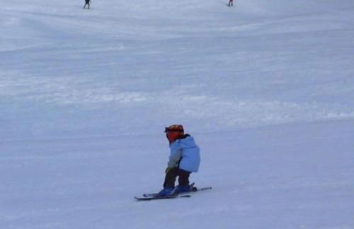 Apartment Wohnung in Unterschönau mit Grill by Interhome - Foto 8