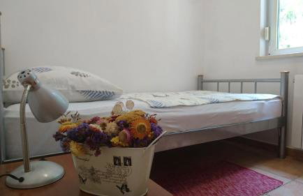 eco Apartment - Photo 12