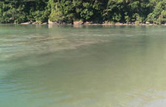 Casa de Praia Bertioga-Costa do Sol Guaratuba - Foto 36