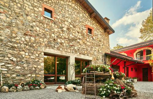 Agriturismo Cascina Mirandola - Foto 62