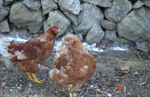 Casa Vacanze Malvarosa - Foto 40