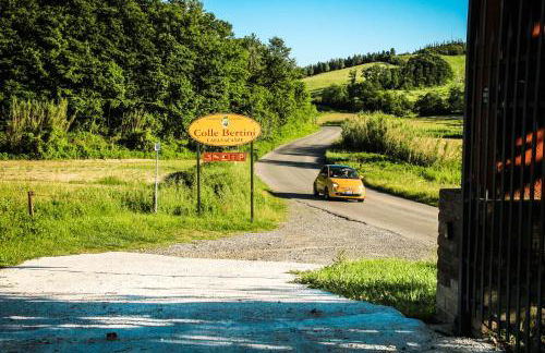 Colle Bertini - Foto 42