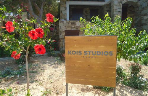 Kois Studios - Foto 60