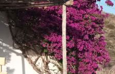 Vistas al Mar - Foto 28