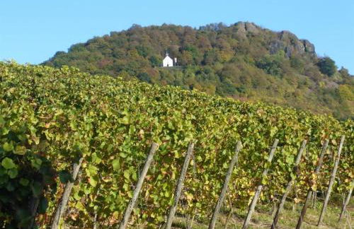 Ferienwohnung Krieger - Foto 37