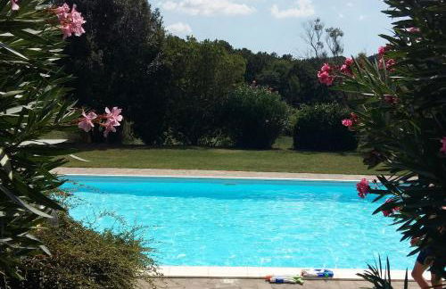 Podere Il Cerrone app Romilda con piscina - Foto 42