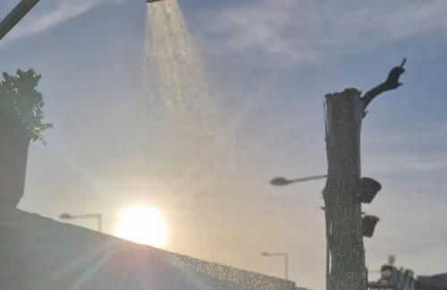 AL - Studio to Travelers - Photo 9