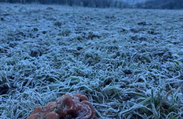 Apartamentos El Caxigu - Foto 50