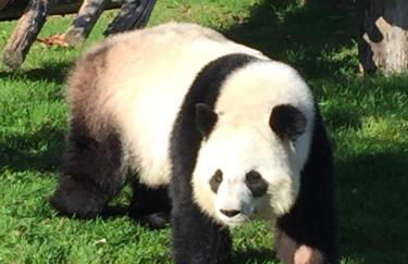 Les lumières de la Loire - Foto 44