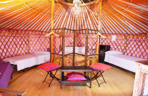 Società Agricola Cacigolara - Photo 31