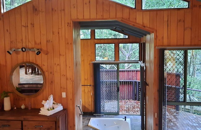 Treetops Accommodation Montville - Photo 1