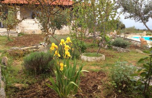 Villa Belvedere Žiža - Photo 40