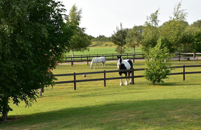 2-bed 18th Century Barn - Sleeps 6 - Pet Friendly - Foto 21
