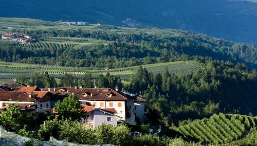 Agritur La Pieve - Foto 5