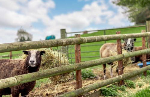 2 Bed in Llantilio Pertholey 90235 - Foto 20