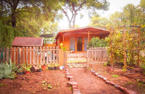 Cabaña madera en bosque 100 ECO - Foto 44