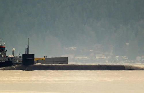 Waterfront Hood Canal-Private Beach-Boat-Kayaks - Foto 30