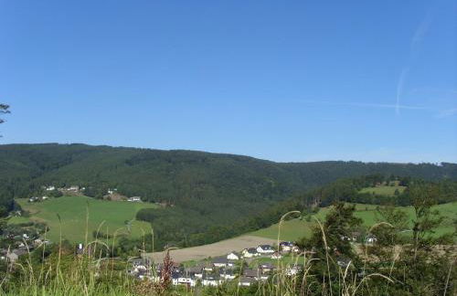Wohnung bei Willingen für Wintersport - Foto 35