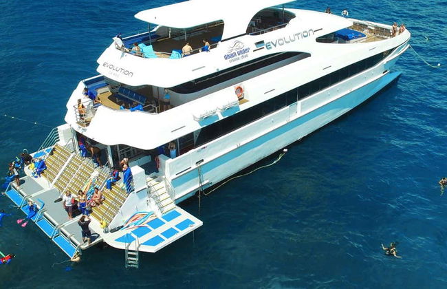 Great Barrier Reef Snorkelling & Helicopter Ride - Foto 4