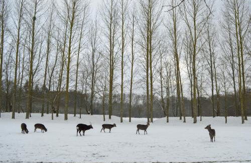 Deer Cottage 1 Uk39330 - Foto 24