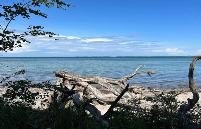 5 Star Holiday Home in Asnaes - Foto 40