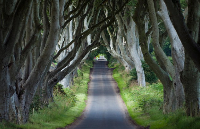 2 días / 1 noche: Belfast, Juego de Tronos y Calzada del Gigante - Foto 1
