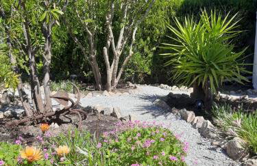 Bright New Garden - Foto 21