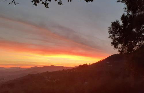 Fattoria Michela - Photo 45