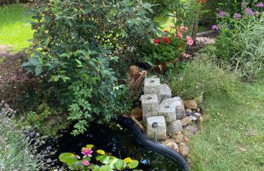 Ausspannen am Schwielowsee - Foto 19