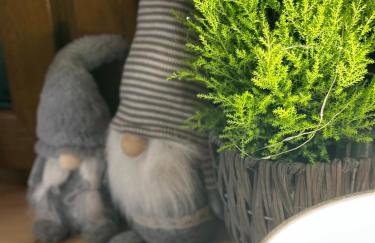 Chata Lawendowa - Foto 61